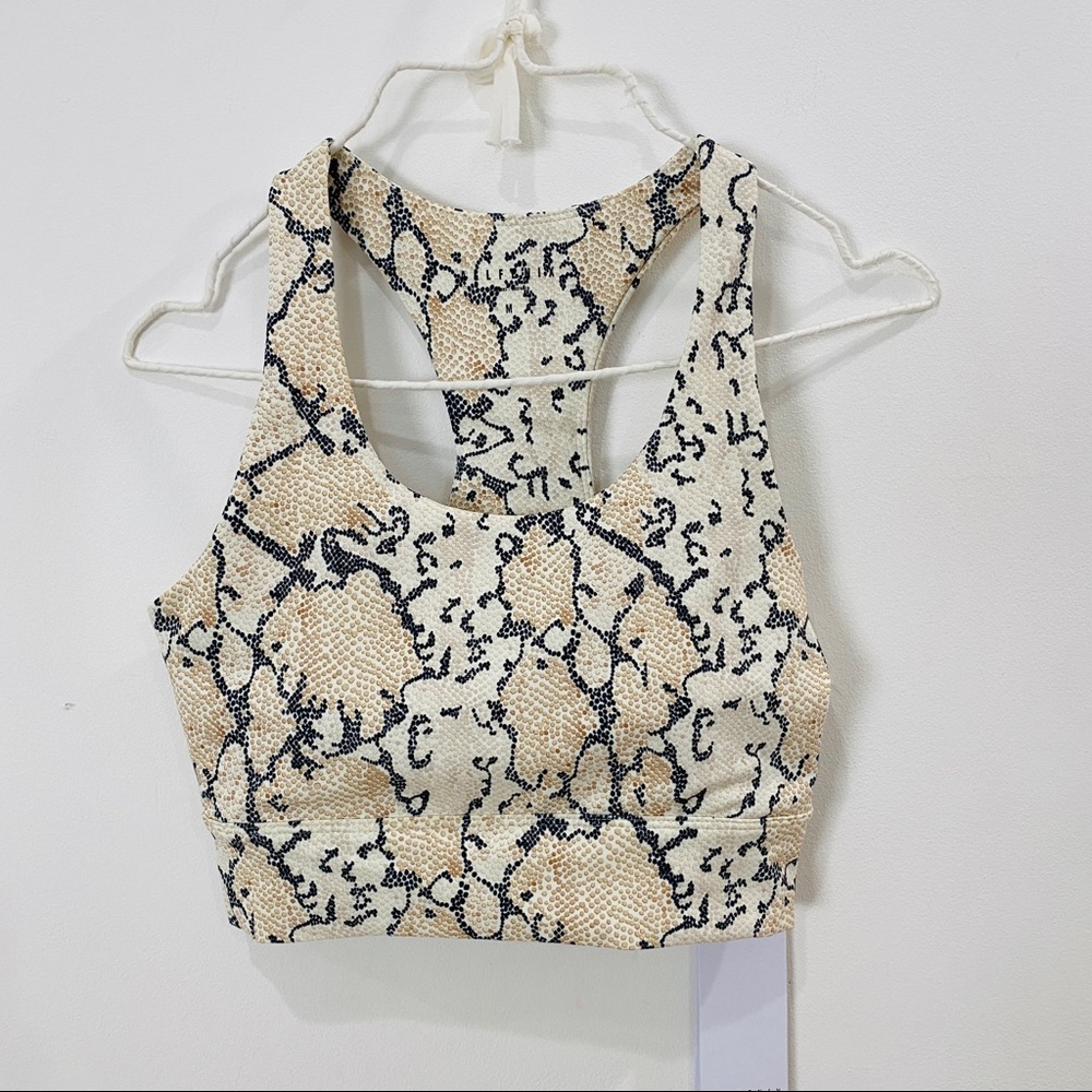 Allfenix Sports bra Medium